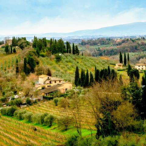Stay in the Florence countryside, just an eighteen-minute drive away from the city centre 