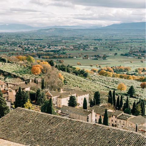 Explore the vineyards and olive groves of the rolling Umbrian countryside