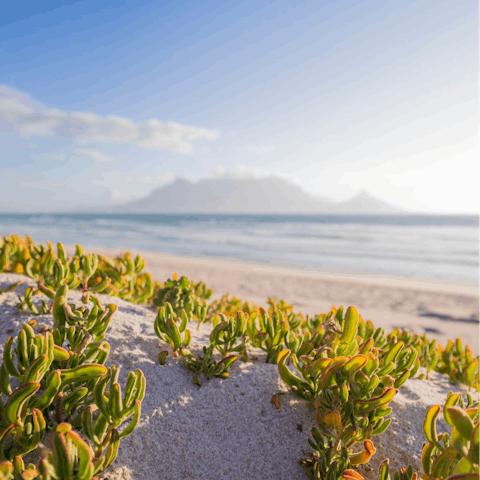 Spend a day on Hout Bay Beach – it's only 2.3km away