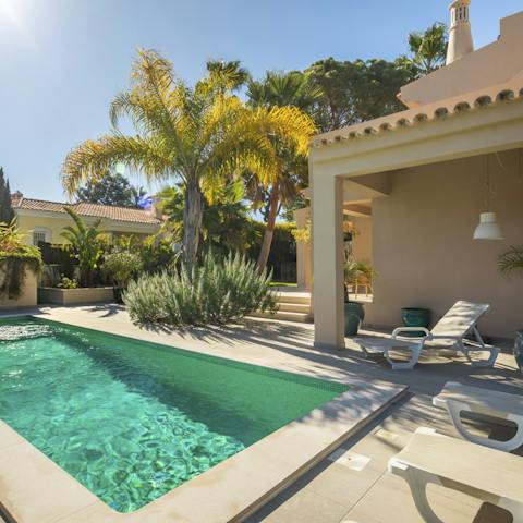 Cool off in the lovely private pool surrounded by mature palms