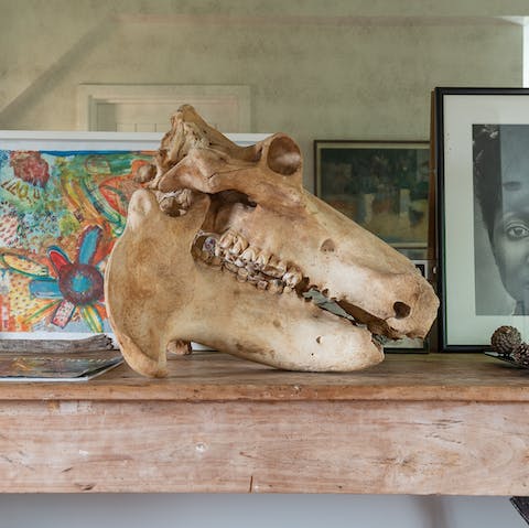 Marvel at the collection of bizarre and fascinating artefacts