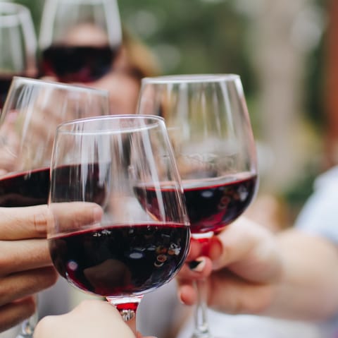 Let your hosts organise some local wine tasting for you