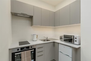 Edinburgh Ember image 5
