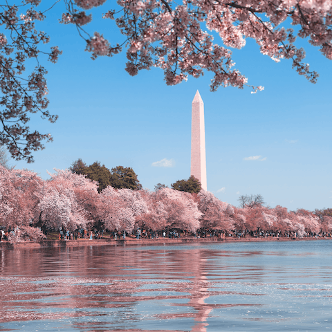 Admire the DC skyline over the Potomac River