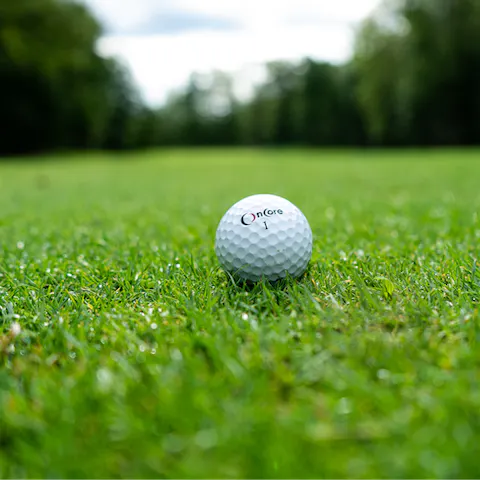 Practice your swing on Real Club de Golf Guadalmina, a short walk away