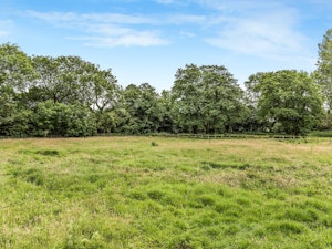 Woodland Echo image 10
