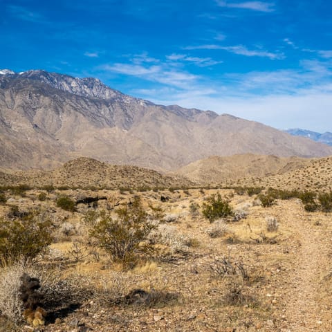 Hike through the spectacular Palm Springs desert, just a five-minute drive away