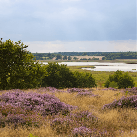 Head out of town for the day to explore the Dedham Vale Area of Outstanding Natural Beauty  – a fifteen-minute drive away