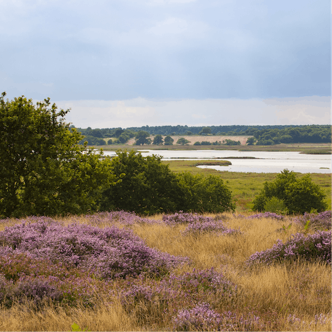 Head out of town for the day to explore the Dedham Vale Area of Outstanding Natural Beauty – a fifteen-minute drive away