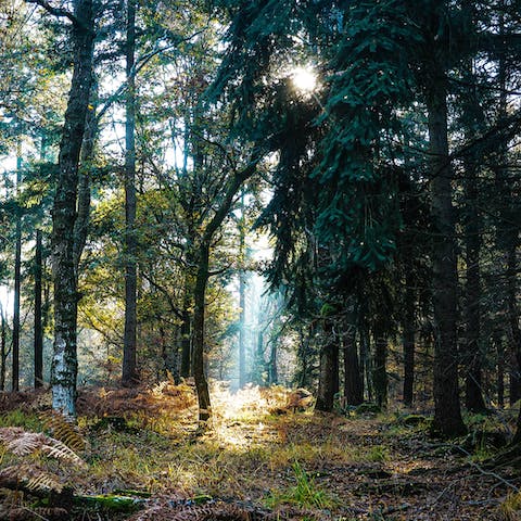 Stay in a private lakeside community, in stunning Pennsylvanian woodland