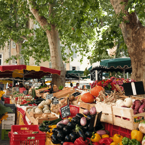 Walk down to Ménerbes' weekly market on Thursday mornings and pick up some local produce