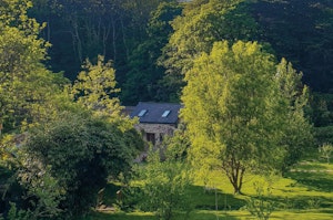 Enchanting Cottage image 15