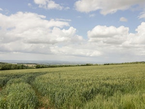 The Chipping Campden Cottage image 10