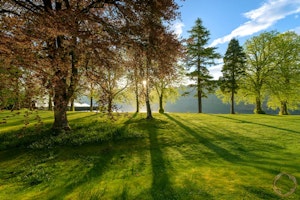 Good Habits image 6