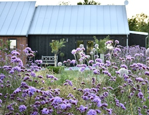 Woolmers Mead image 8