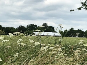 Woolmers Mead image 5