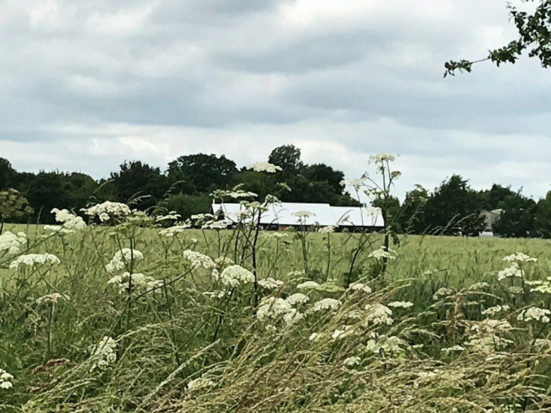 Woolmers Mead additional image