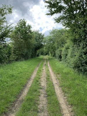 Woolmers Mead image 2