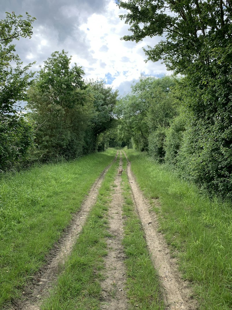Woolmers Mead additional image