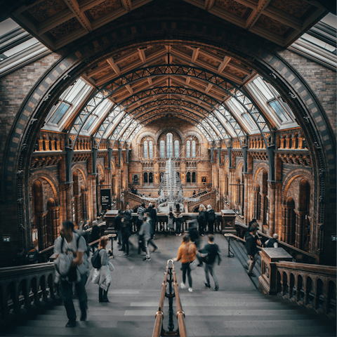 Visit the Natural History Museum, a fifteen-minute walk away