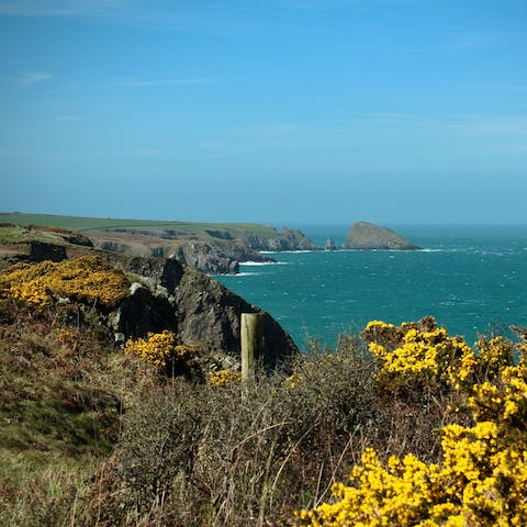 Trek along the Pembrokeshire Coast Path and marvel at the majestic scenery 