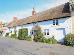 A Delight in Dorset image 5