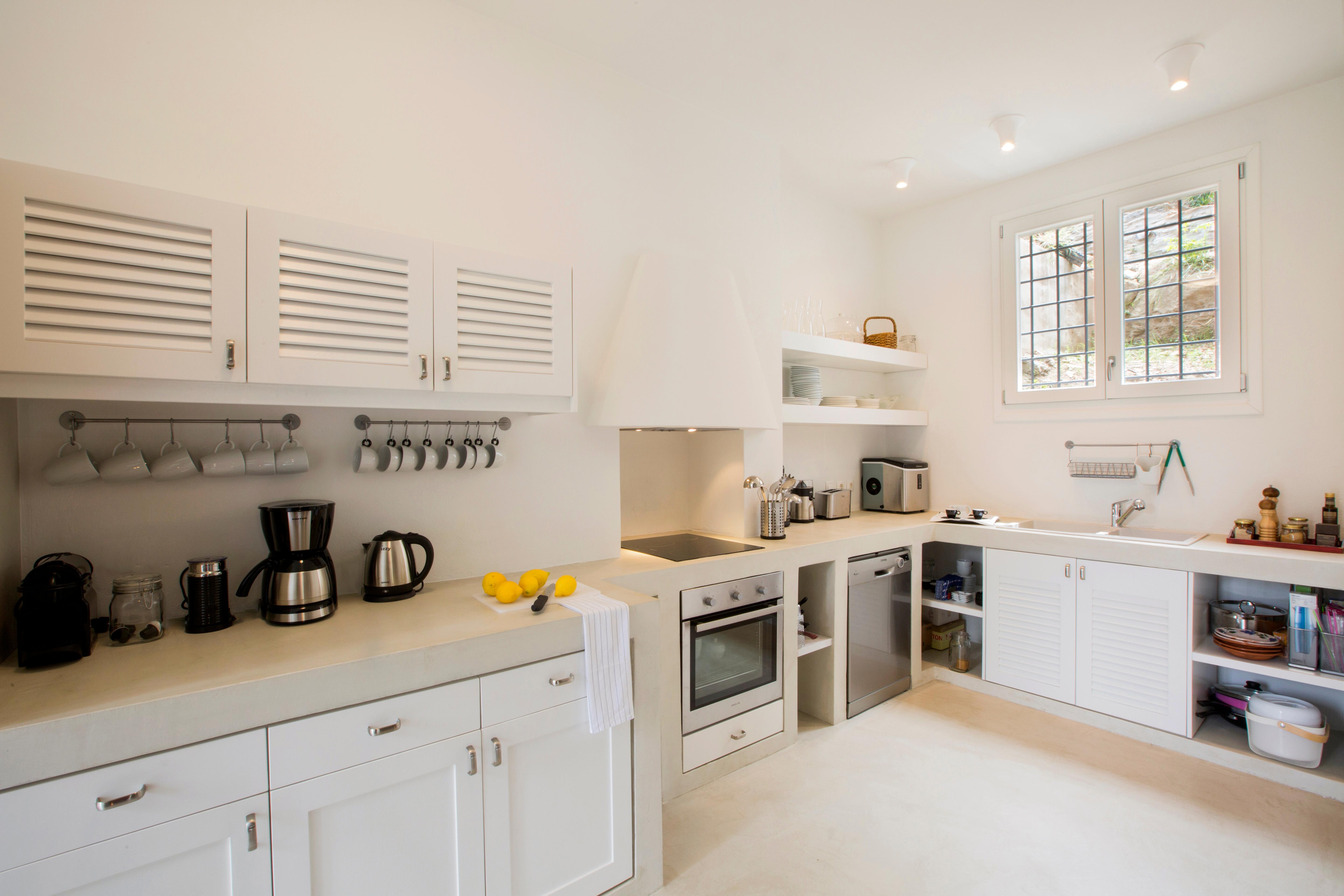 Through the Citrus Grove