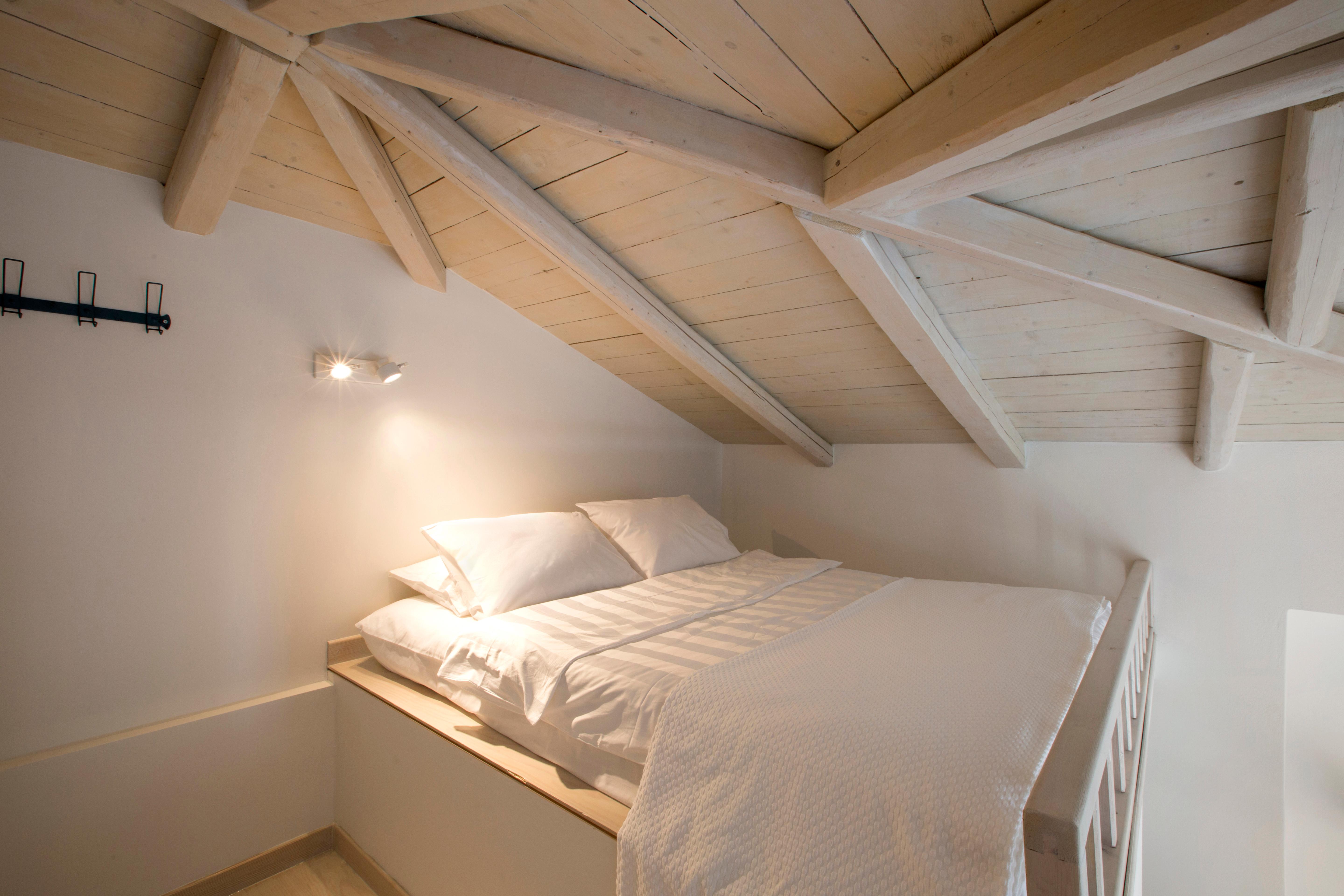 Through the Citrus Grove