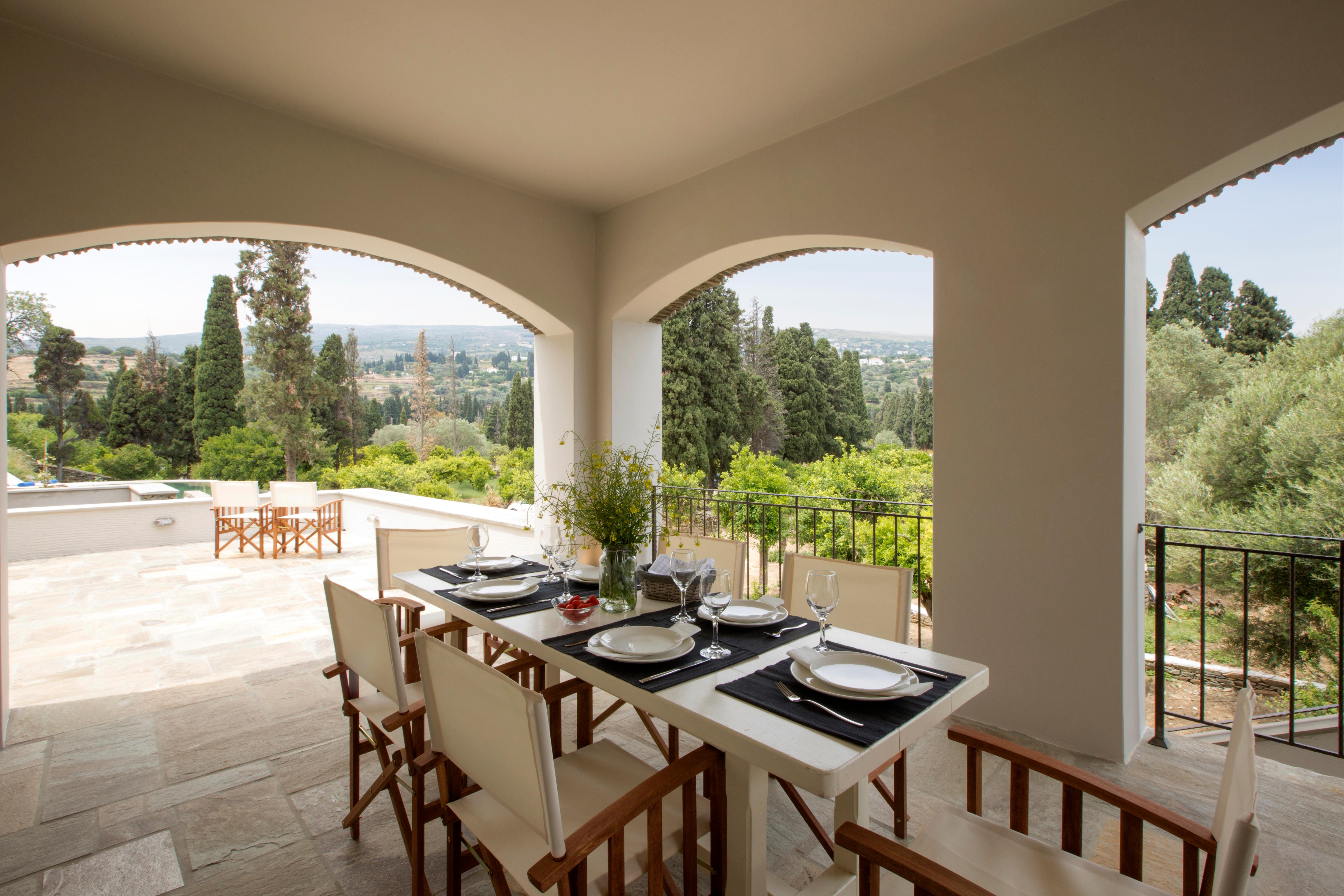 Through the Citrus Grove