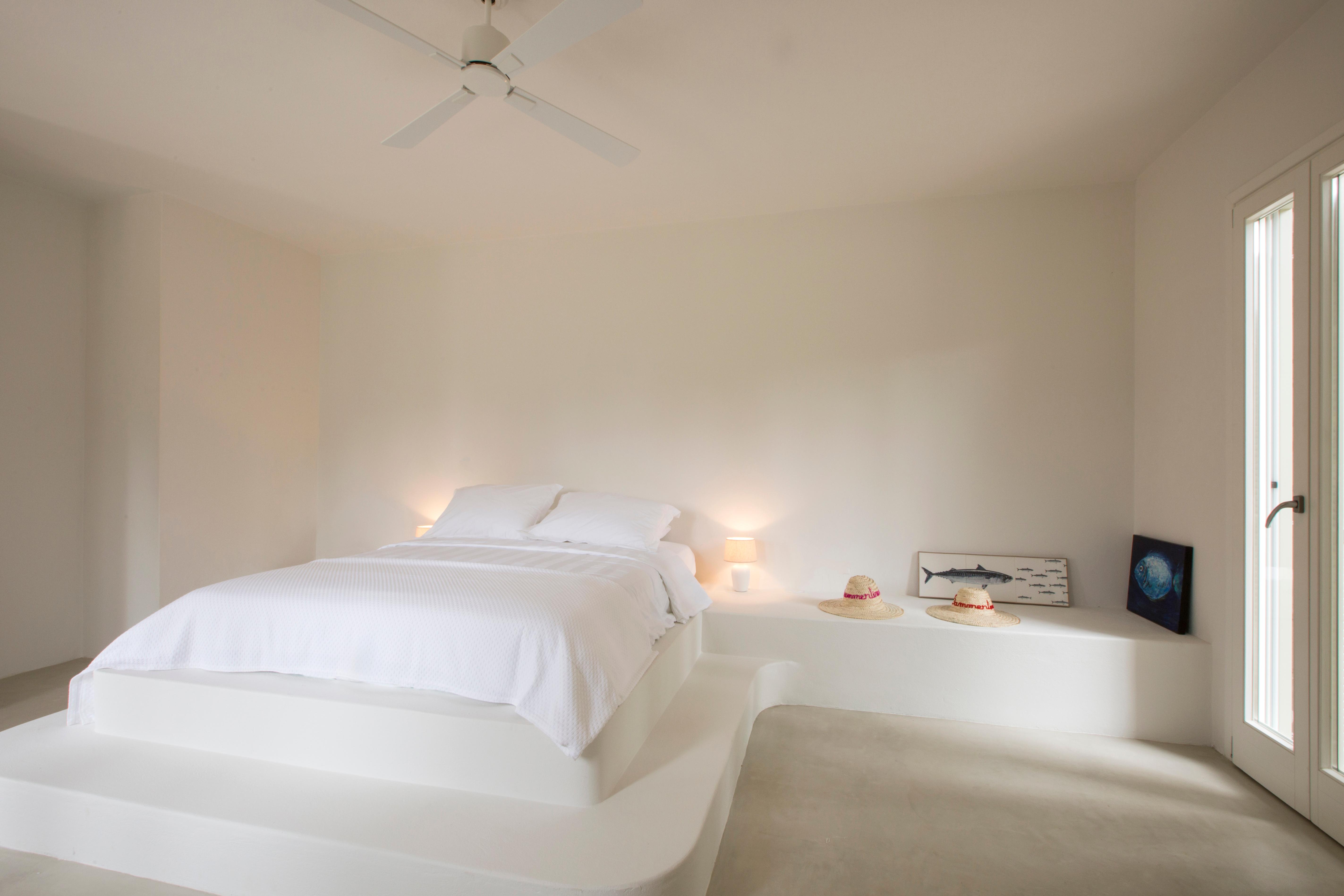 Through the Citrus Grove