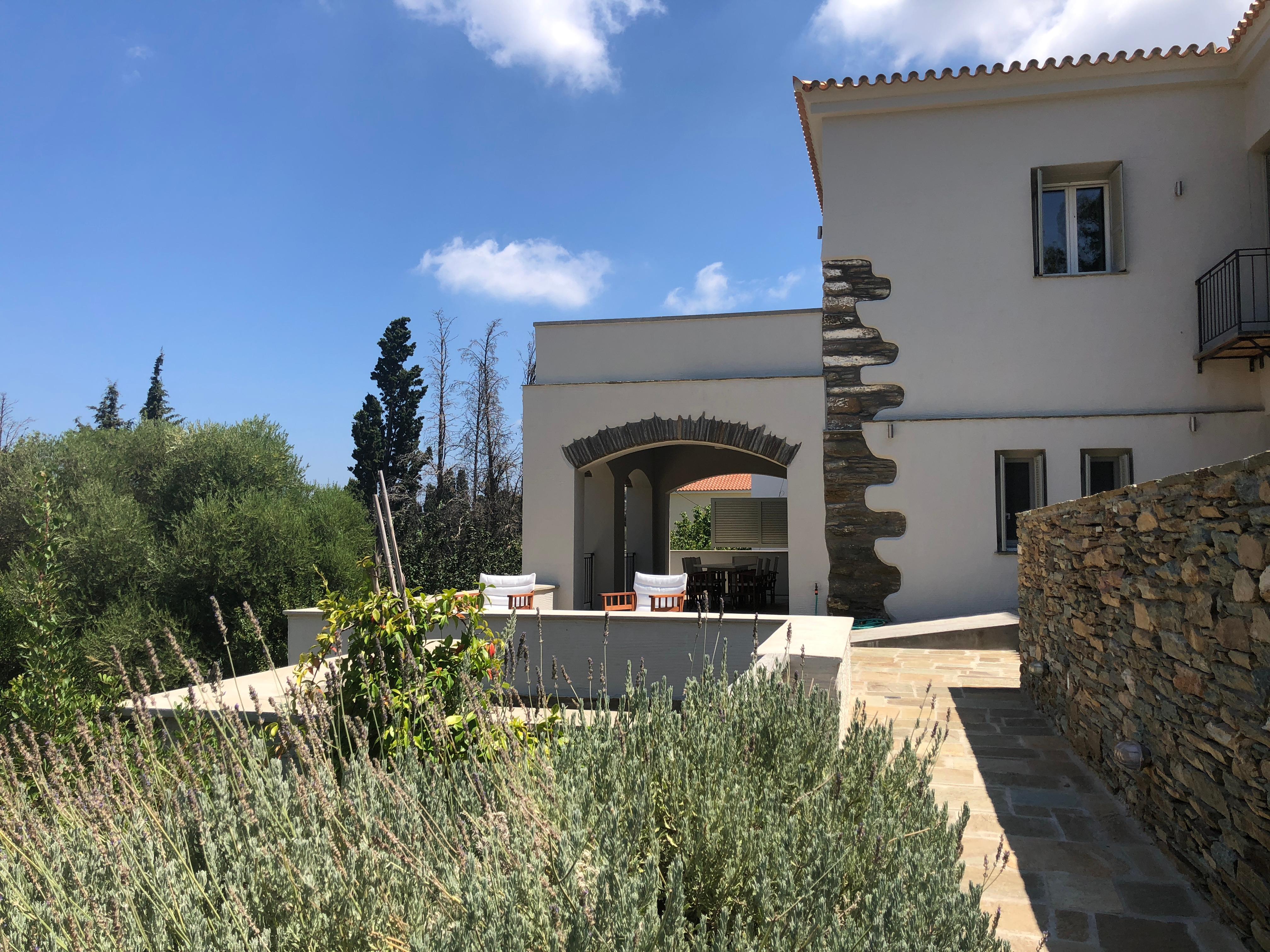 Through the Citrus Grove