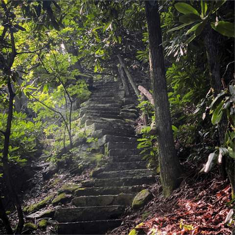 Pull on your hiking boots to explore Nantahala National Forest