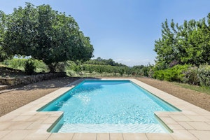 Bonny Bonnieux image 13
