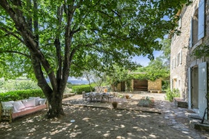 Bonny Bonnieux image 7