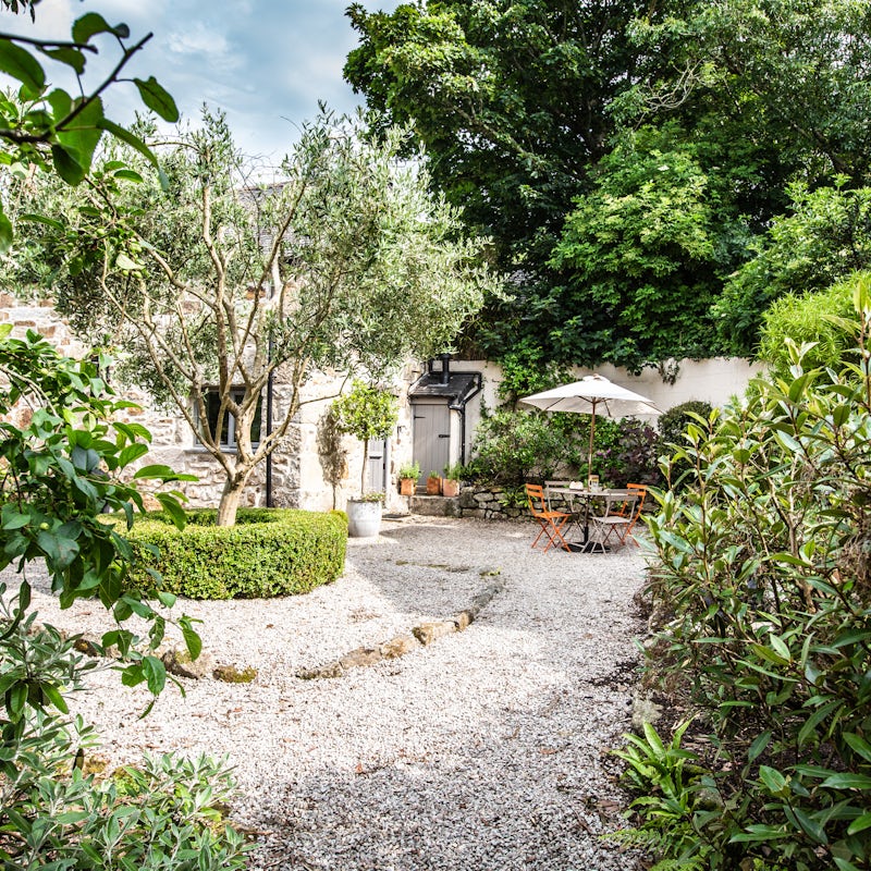 A courtyard teeming with plants