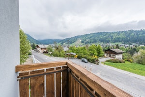 Thuja image 13