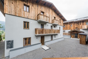 Thuja image 7