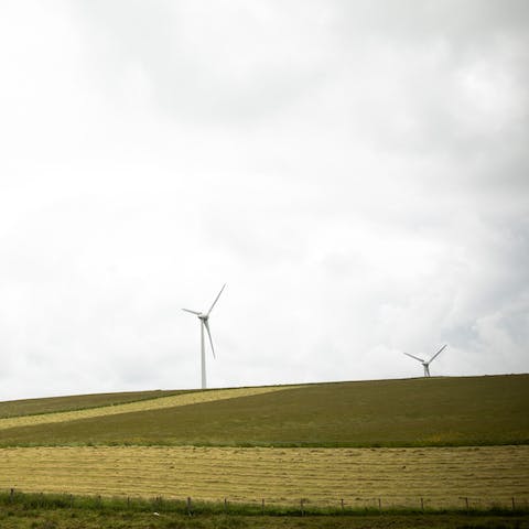 Look out to the rolling hills and vast fields surrounding your rural home