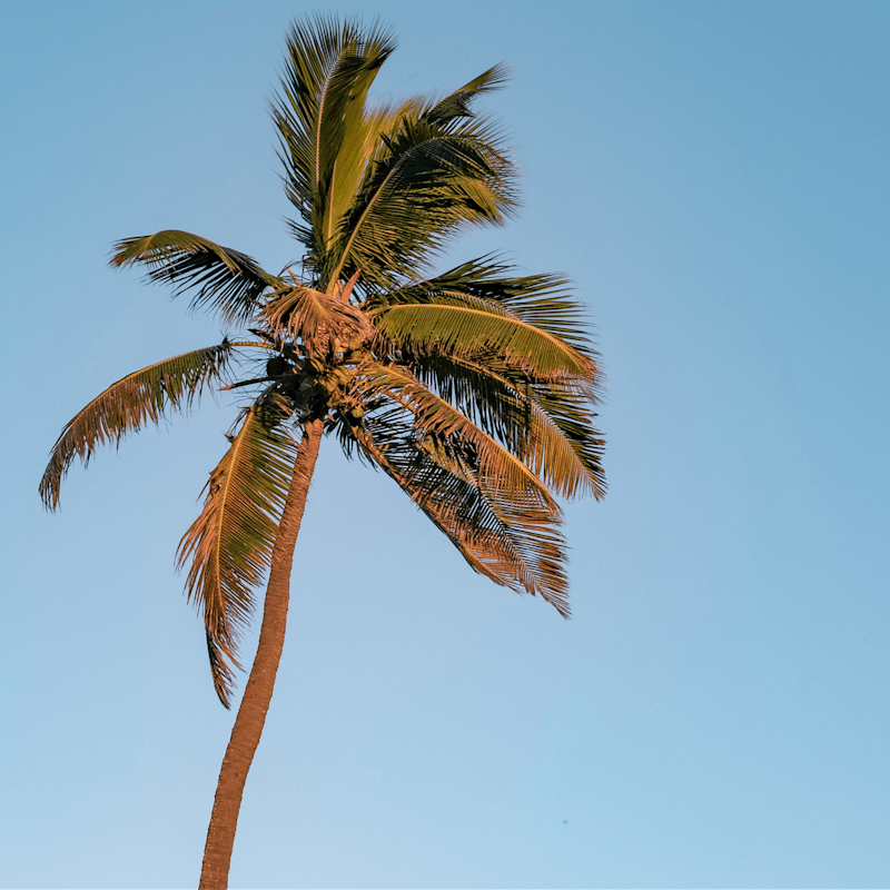 Experience the magic of total relaxation from this home in Lauderdale-By-The-Sea