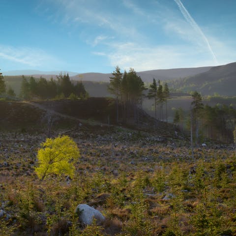 Get out and explore the Cairngorms National Park – you're staying at its heart