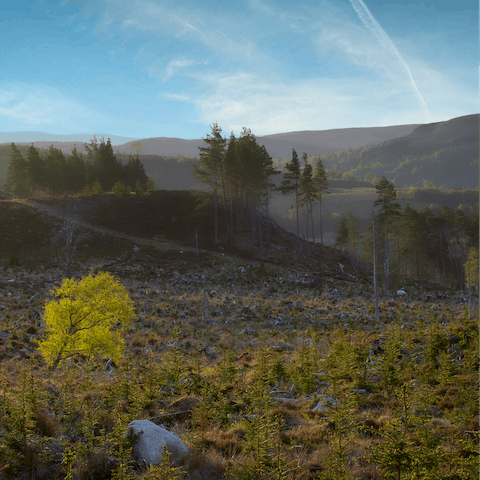Hike, ski or kayak in the magnificent Cairngorms National Park