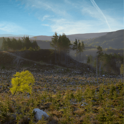 Hike, ski or kayak in the magnificent  Cairngorms National Park