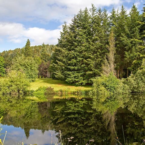 Explore the estate's sprawling wooded grounds