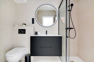Parisian Can-Can image 4