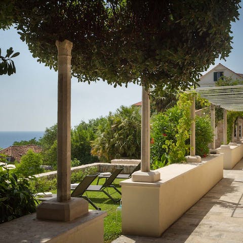 Explore the stepped and verdant green terraces looking out to sea