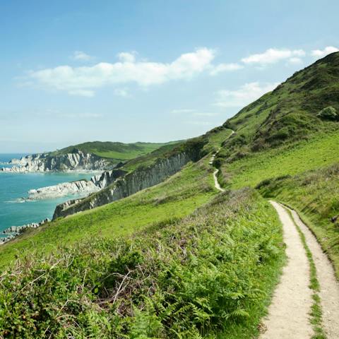 Head off on walks along the Devon coastal paths