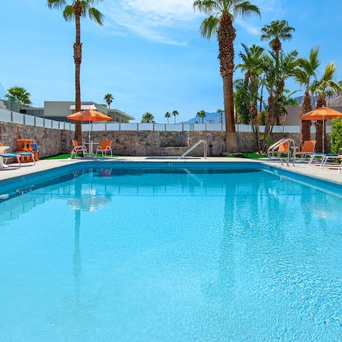 Bring your book down to the pool to spend lazy afternoons in the Palm Springs sun
