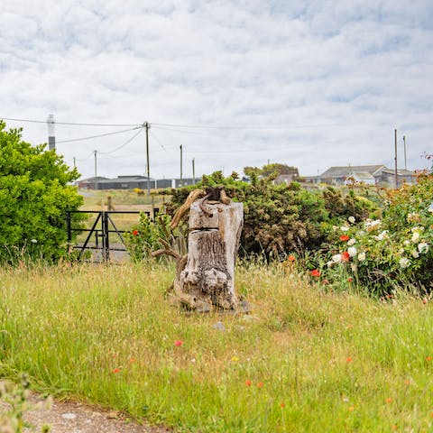 Enjoy the green coastal views from your own private garden