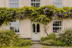 Tea, Flowers & Trees image 2