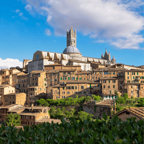 Take a day trip to beautiful Siena, known for its medieval brick buildings